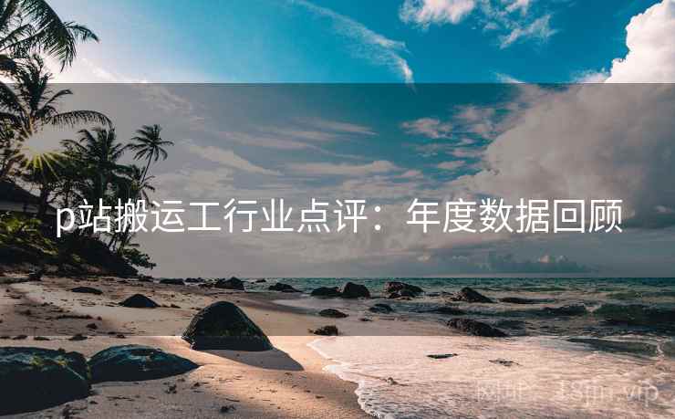 p站搬运工行业点评：年度数据回顾