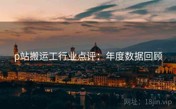 p站搬运工行业点评：年度数据回顾