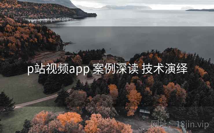 p站视频app 案例深读 技术演绎