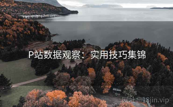 P站数据观察：实用技巧集锦