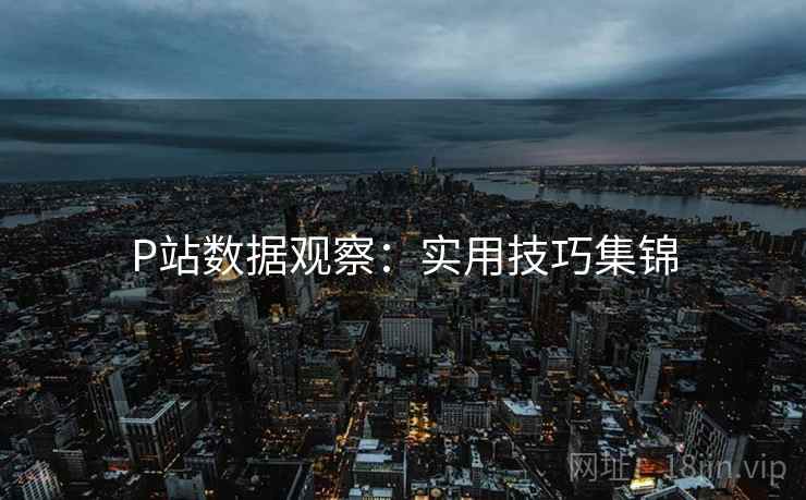 P站数据观察：实用技巧集锦