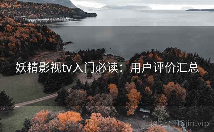 妖精影视tv入门必读：用户评价汇总