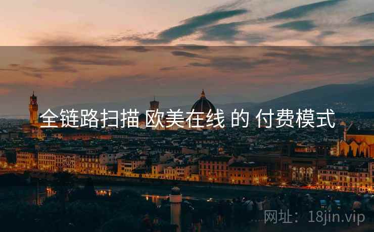 全链路扫描 欧美在线 的 付费模式