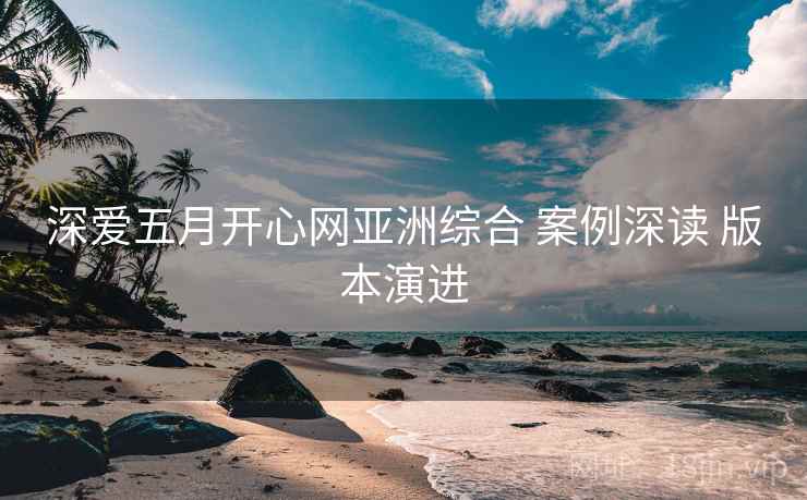 深爱五月开心网亚洲综合 案例深读 版本演进