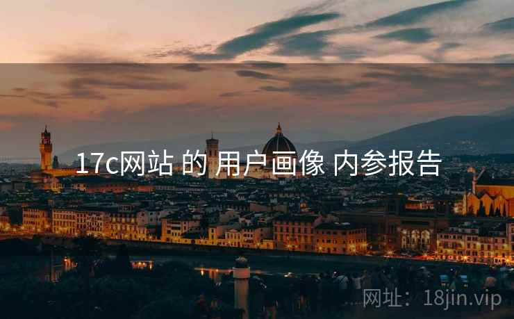 17c网站 的 用户画像 内参报告