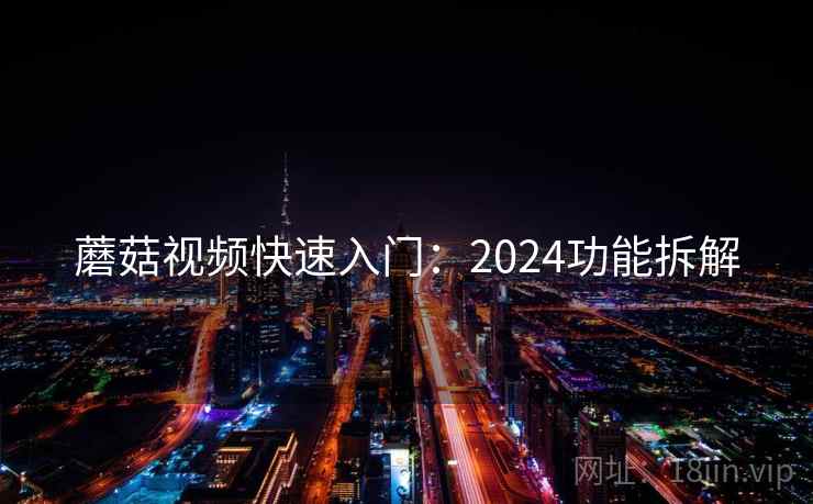 蘑菇视频快速入门：2024功能拆解