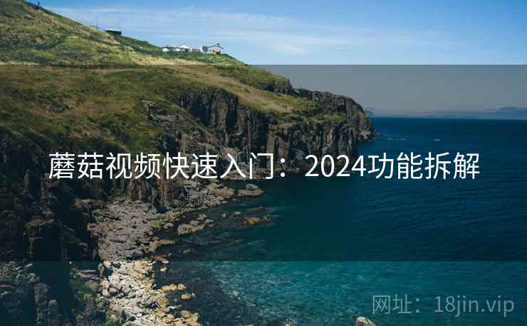 蘑菇视频快速入门：2024功能拆解