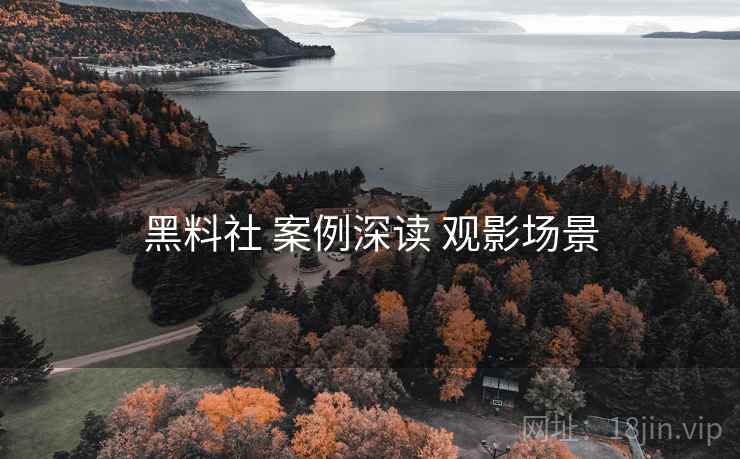 黑料社 案例深读 观影场景