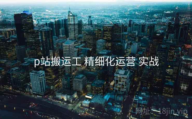 p站搬运工 精细化运营 实战