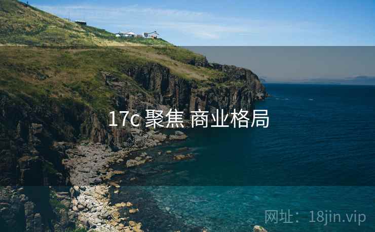 17c 聚焦 商业格局