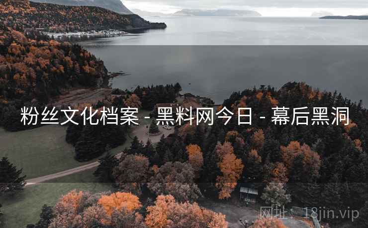 粉丝文化档案 - 黑料网今日 - 幕后黑洞