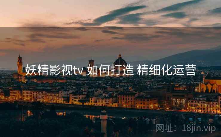 妖精影视tv 如何打造 精细化运营
