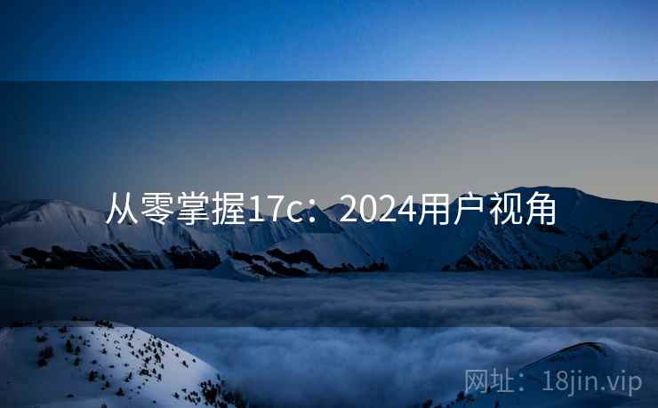 从零掌握17c：2024用户视角