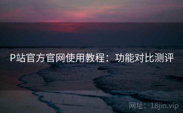 P站官方官网使用教程：功能对比测评