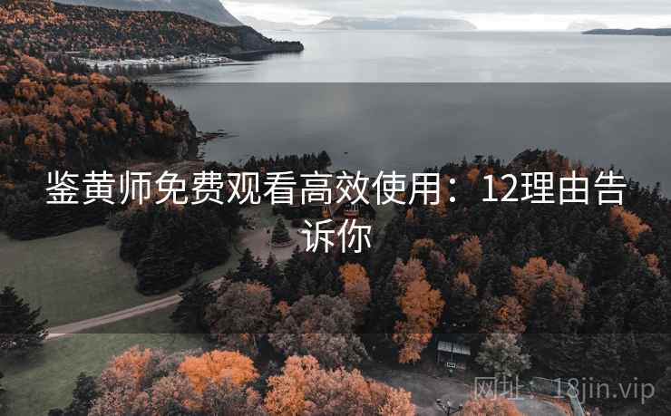 鉴黄师免费观看高效使用：12理由告诉你
