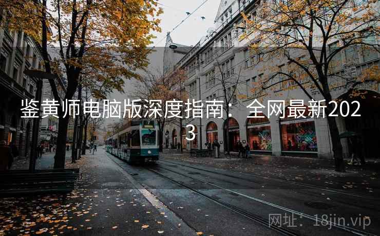 鉴黄师电脑版深度指南：全网最新2023