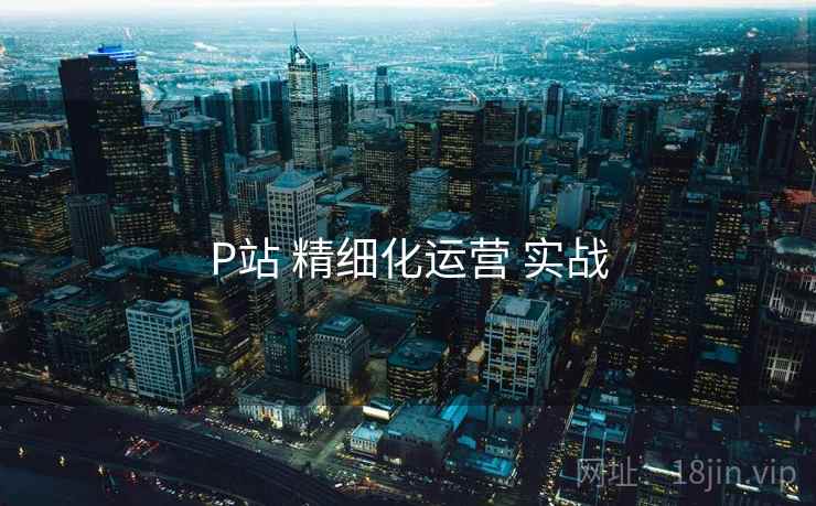 P站 精细化运营 实战