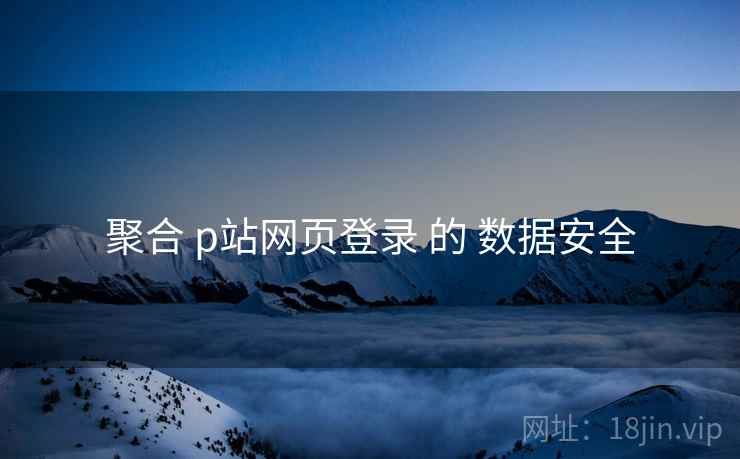 聚合 p站网页登录 的 数据安全