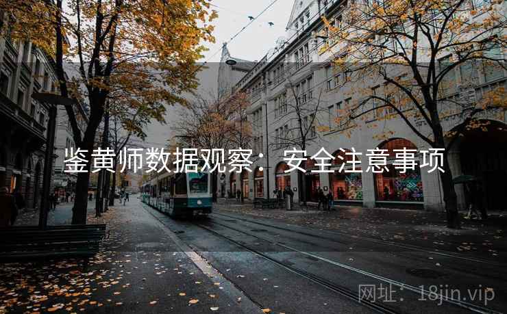 鉴黄师数据观察：安全注意事项