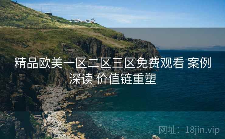 精品欧美一区二区三区免费观看 案例深读 价值链重塑