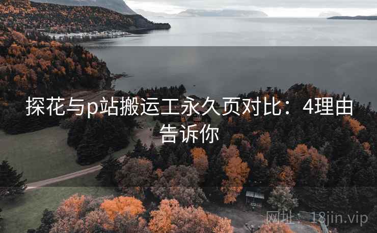 探花与p站搬运工永久页对比：4理由告诉你