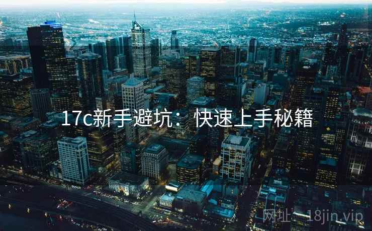 17c新手避坑：快速上手秘籍