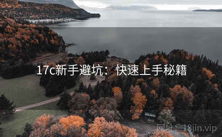 17c新手避坑：快速上手秘籍