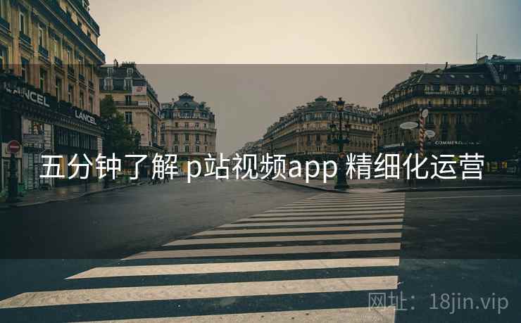 五分钟了解 p站视频app 精细化运营