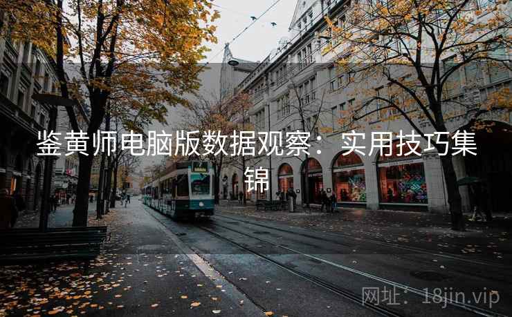 鉴黄师电脑版数据观察：实用技巧集锦