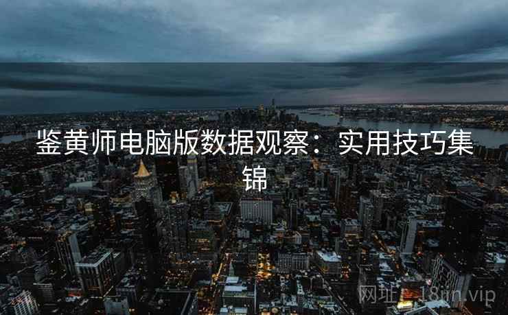 鉴黄师电脑版数据观察：实用技巧集锦